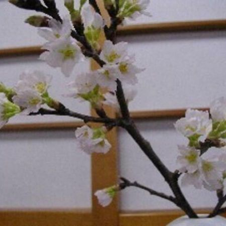 Wakaba Ryokan / Vacation Stay 29362 Саката Экстерьер фото